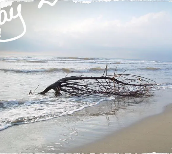 TRAVAIL � PIETRASANTA 2003 38